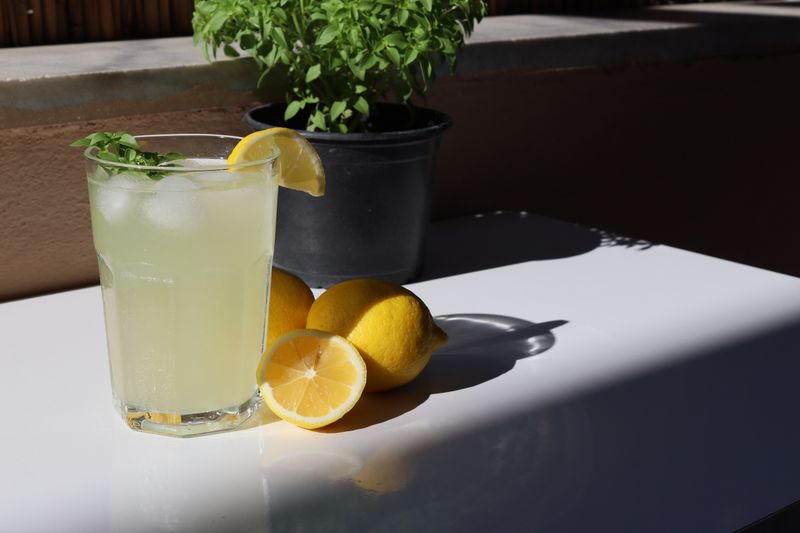 Sparkling Italian lemonade with fresh mint