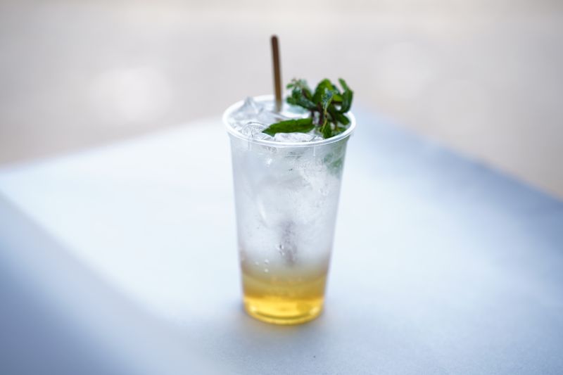 Homemade iced tea with lemon and mint